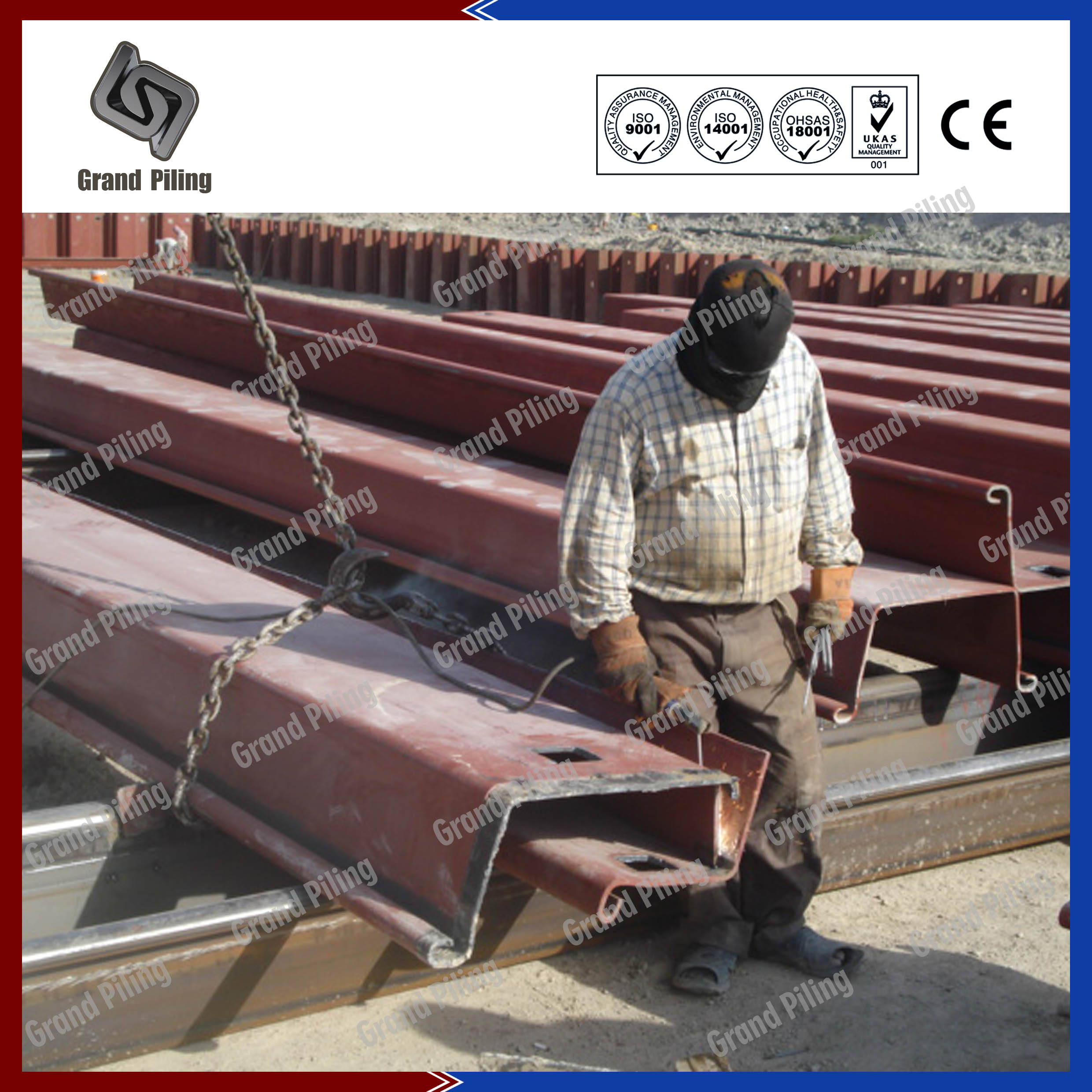 Animal Protection Project, Rotterdam, Netherlands